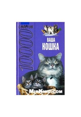 Your cat. 1000 tips