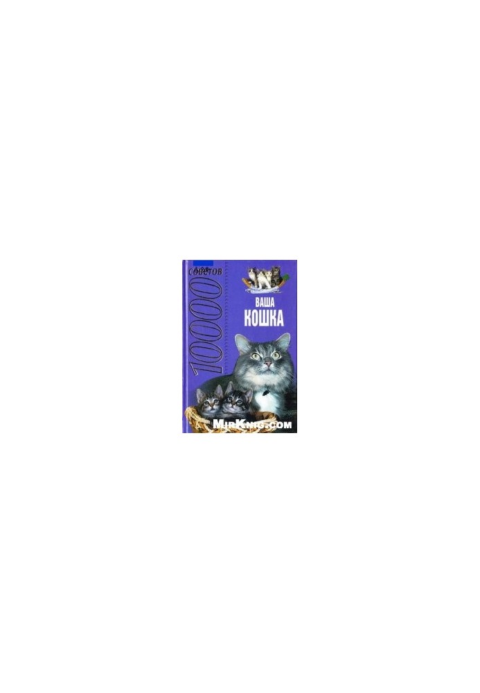 Your cat. 1000 tips