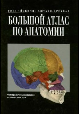 Большой атлас по анатомии