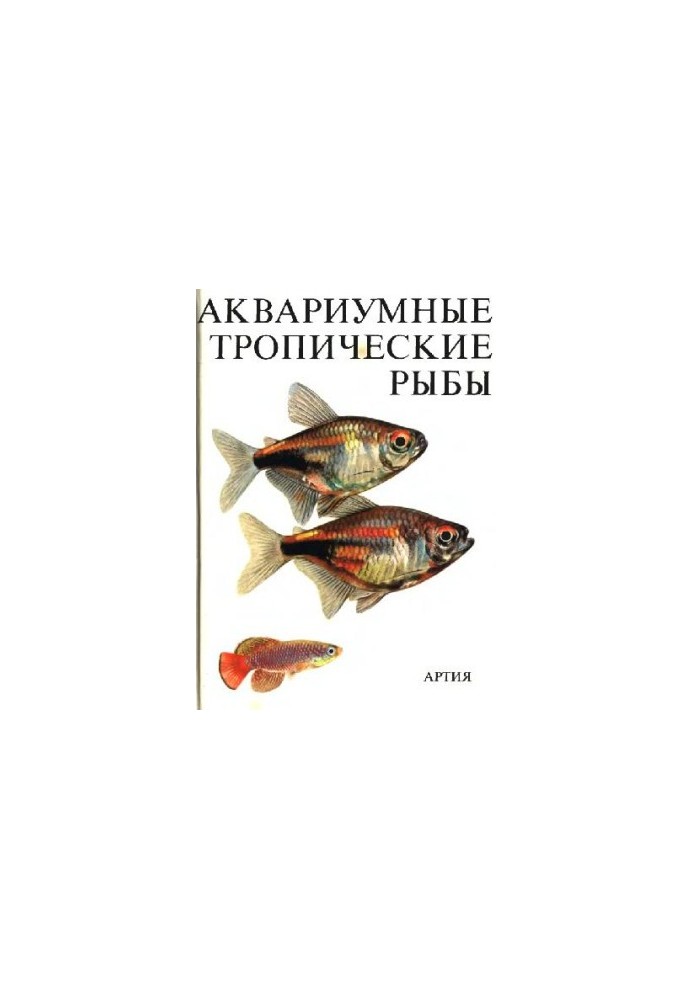 Аквариумные тропические рыбы