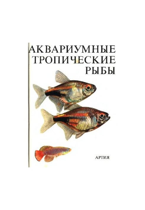 Аквариумные тропические рыбы
