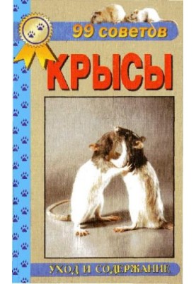 99 tips. Decorative rats. Care and