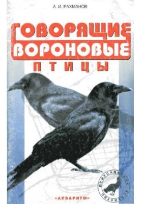 Talking crowbirds.