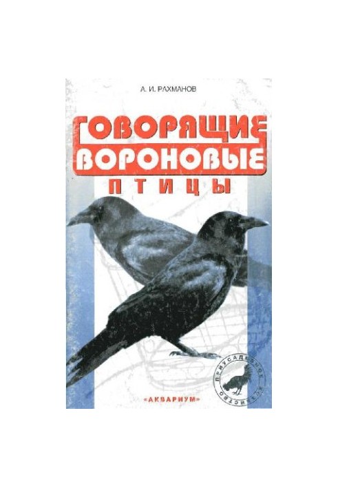 Talking crowbirds.