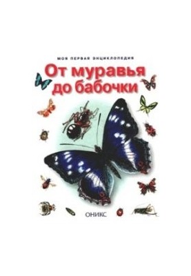 From Ant to Butterfly