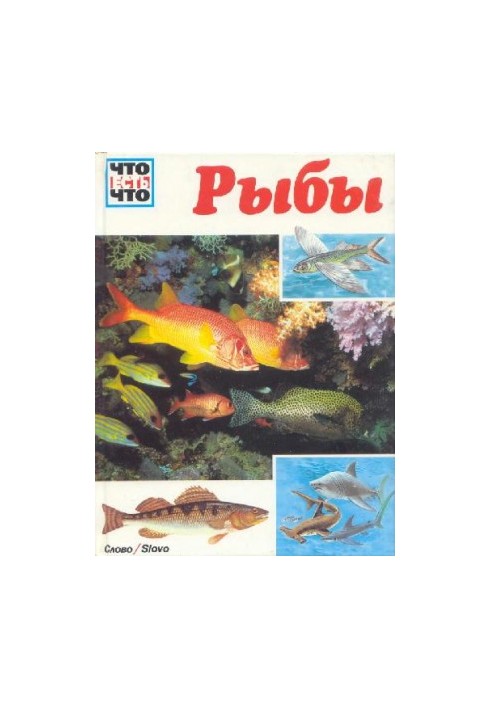 Pisces