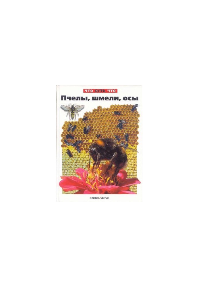 Bees, Bumblebees, Wasps