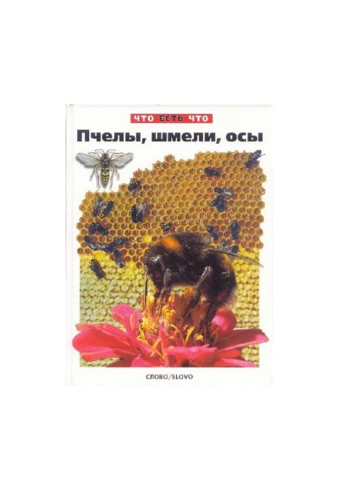 Bees, Bumblebees, Wasps