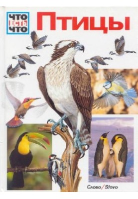 Birds