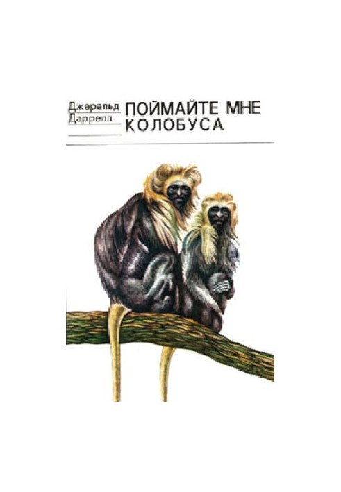 Поймайте мне колобуса
