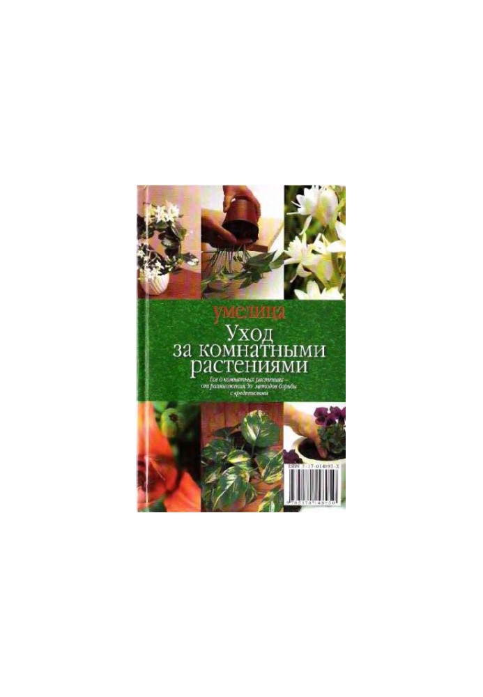 Догляд за кімнатними рослинами