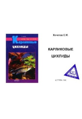 Dwarf Cichlids