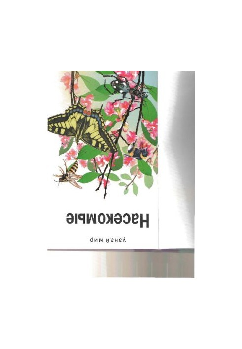Комахи. Шкільний путівник