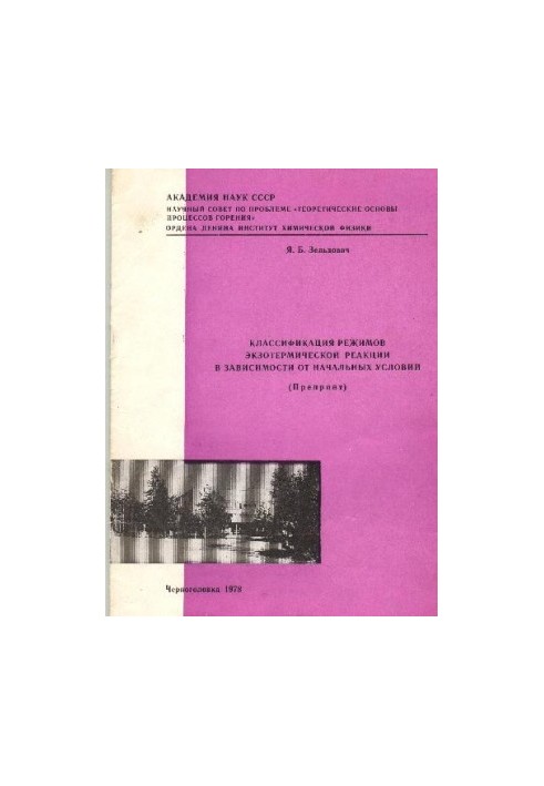Классификация режимов экзотермической реакции в зависимости от начальных условий