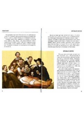 Human Anatomy. School Guide