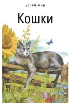 Коти. Шкільний путівник