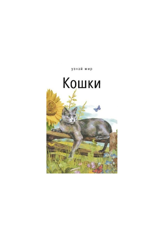 Коти. Шкільний путівник