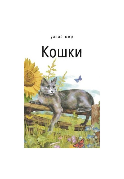 Коти. Шкільний путівник