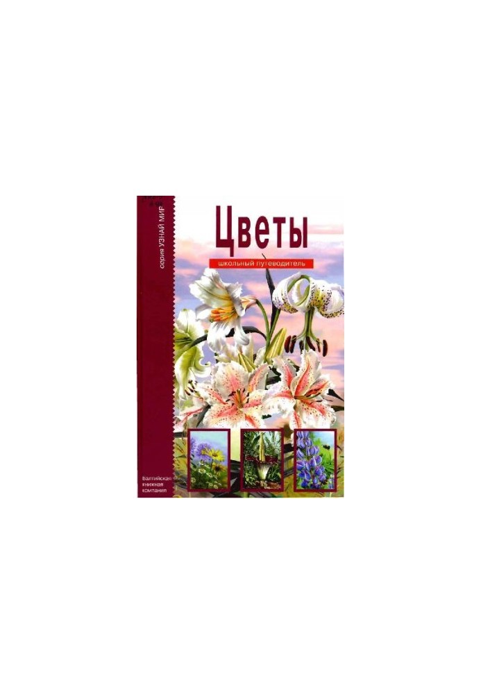 Flowers. School Guide