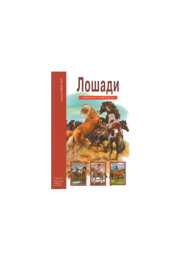 Коні. Шкільний путівник