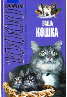 10000 tips. Your cat