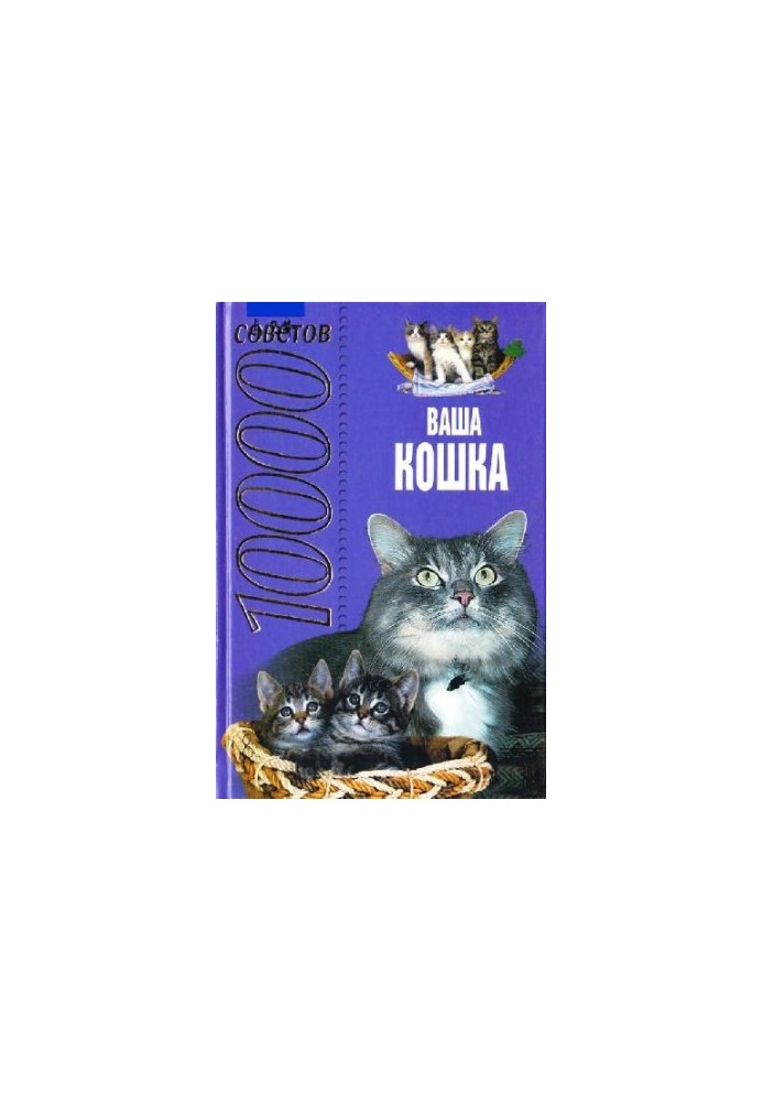 10000 tips. Your cat