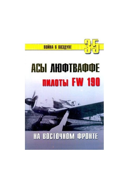 Asa Luftwaffe. Pilots FW 190 on the Eastern Front