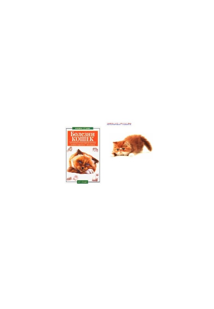 Diseases of cats
