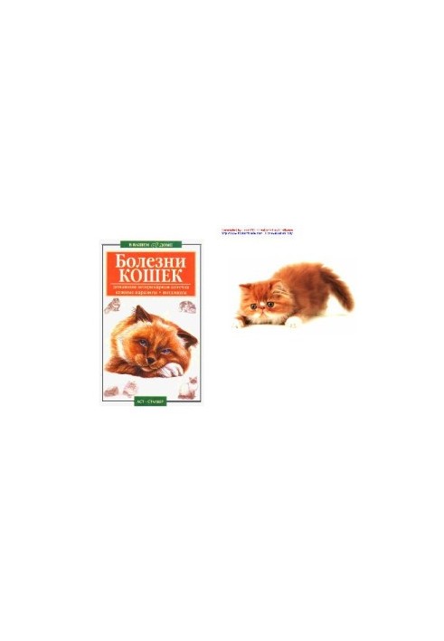 Diseases of cats