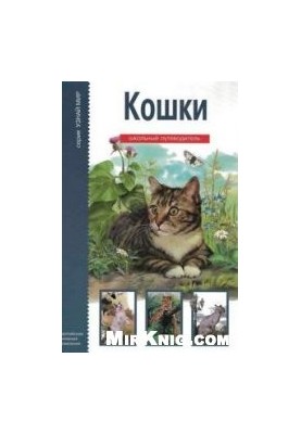 Cats: [for middle and high school age]