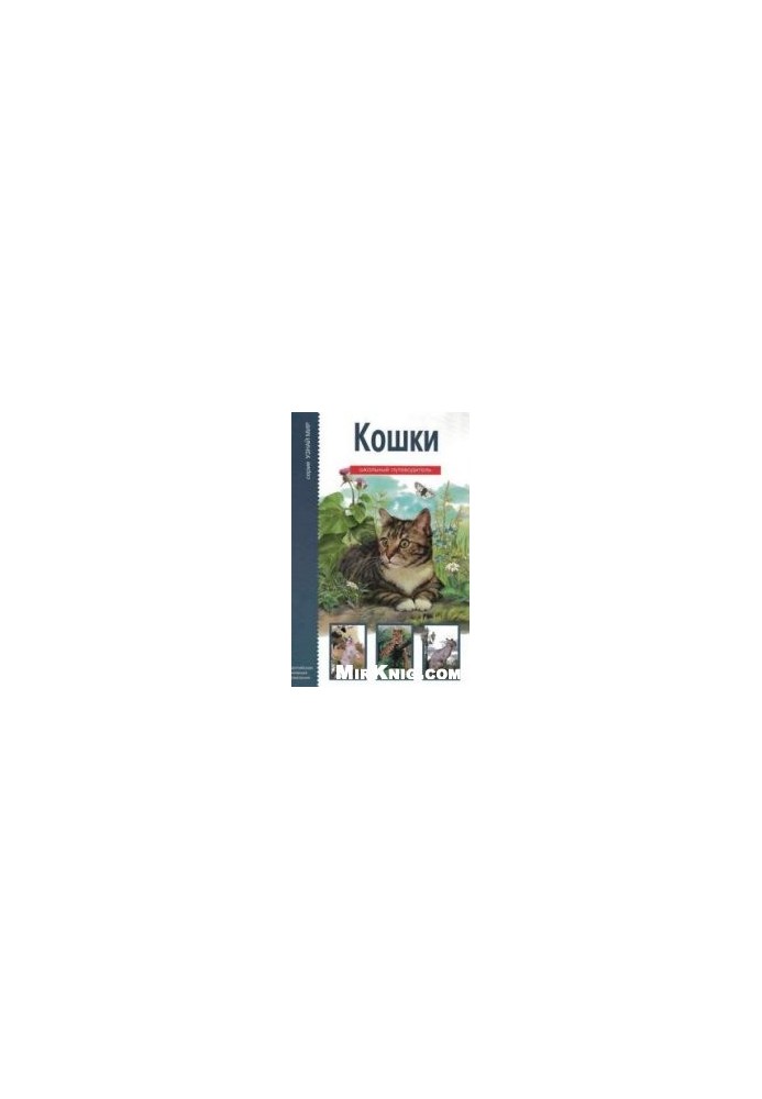 Cats: [for middle and high school age]