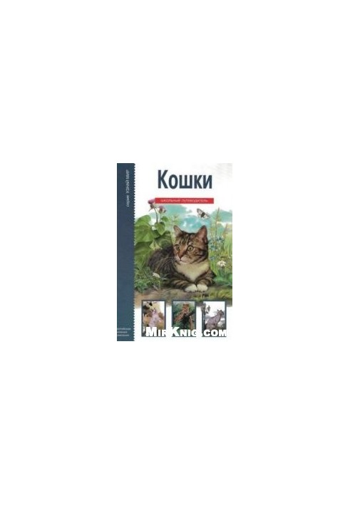 Cats: [for middle and high school age]