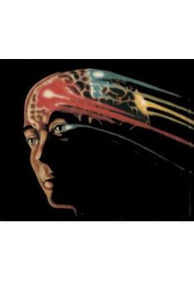 Brain, Mind and Behavior