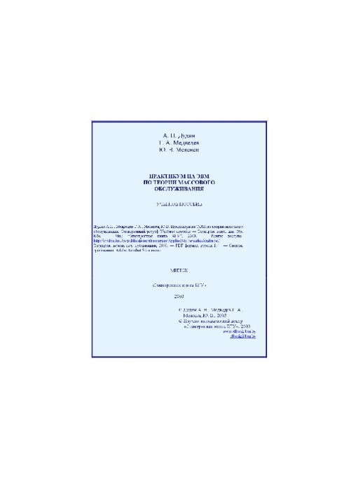Computer Workshop on the Theory of Mass Irradiation