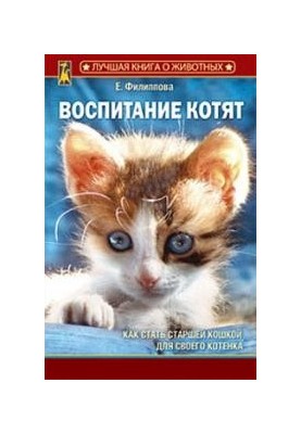 Виховання кошенят