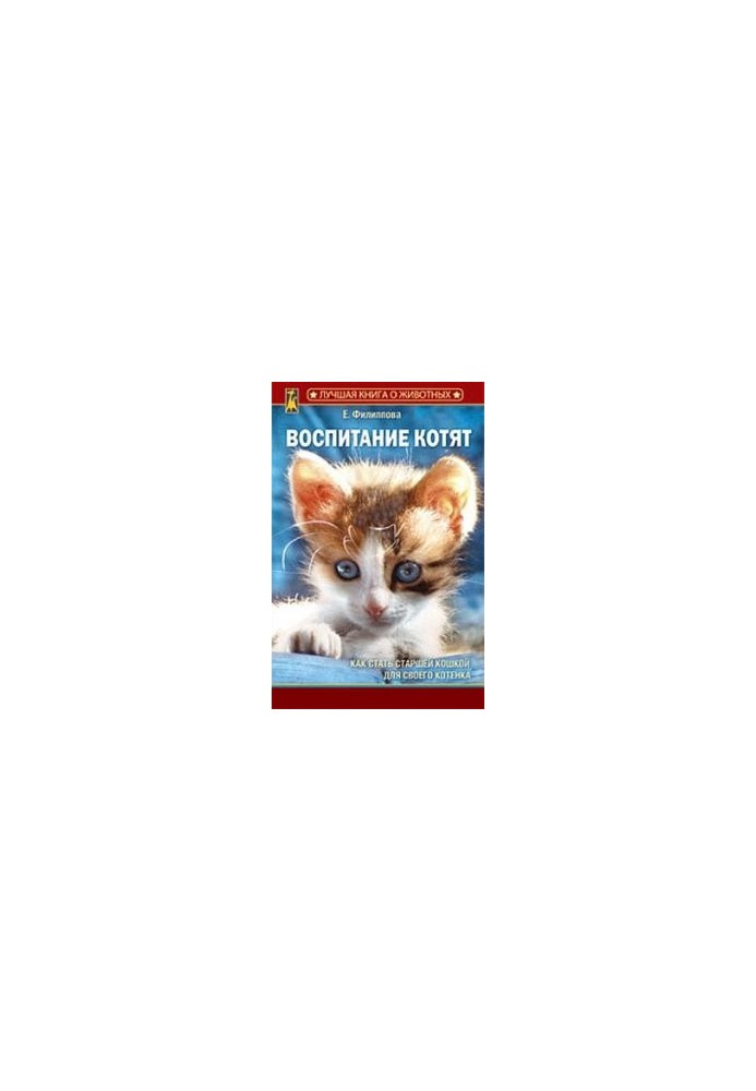 Виховання кошенят