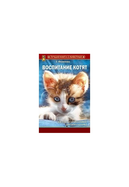 Виховання кошенят