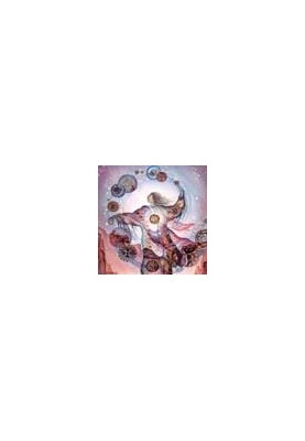 Encyclopedia of miracles, mysteries and mysteries