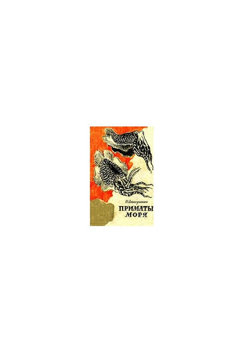 Морські примати