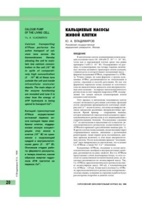 Кальциевые насосы живой клетки
