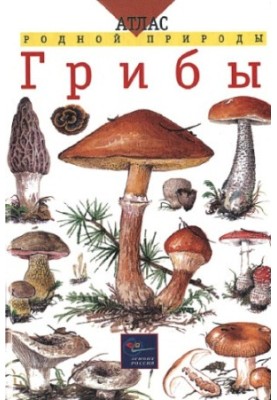 Гриби