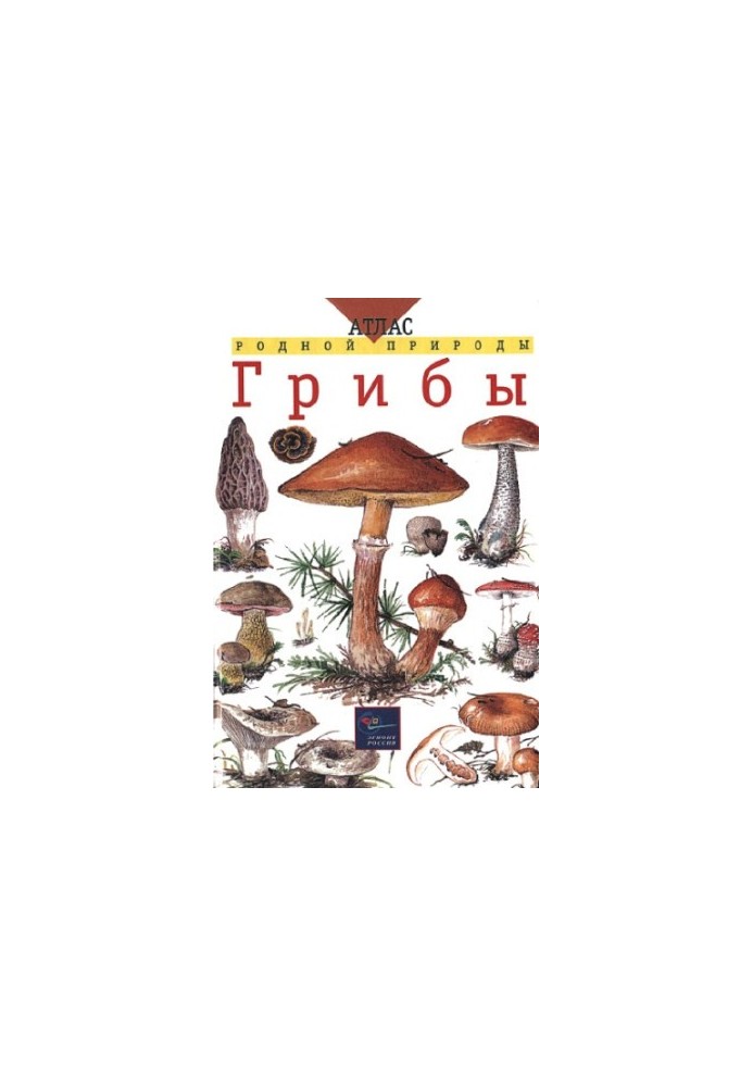 Гриби