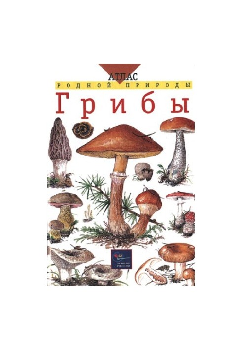 Гриби