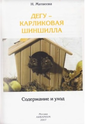 Дегу - карликова шиншила