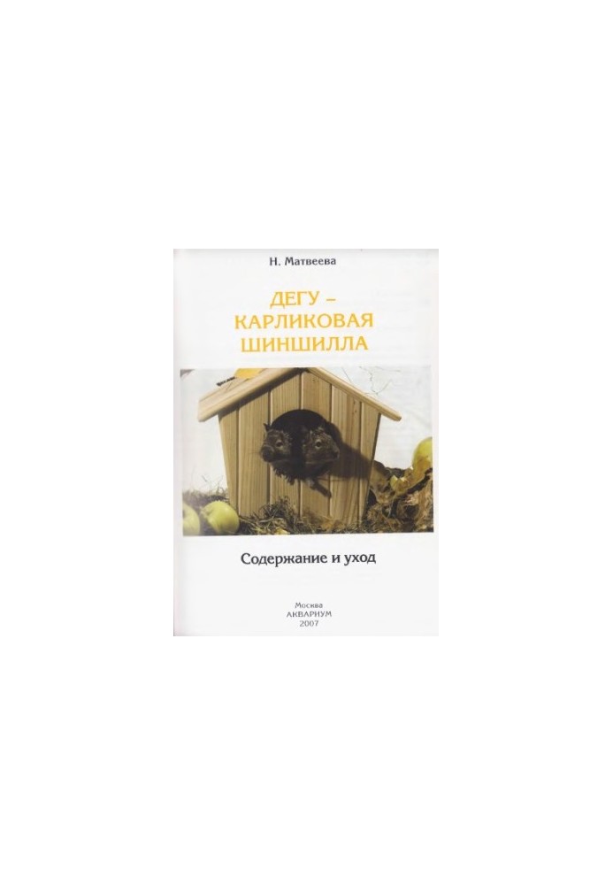 Дегу - карликова шиншила
