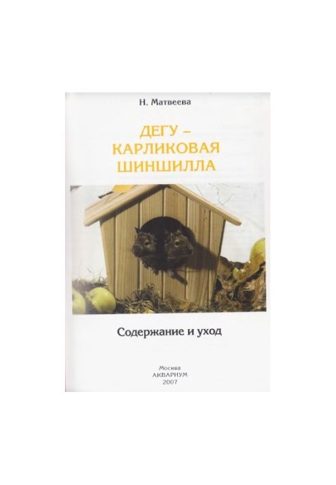 Дегу - карликова шиншила