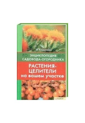 Растения-целители на вашем участке