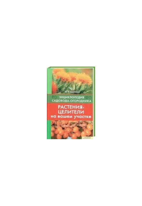 Растения-целители на вашем участке