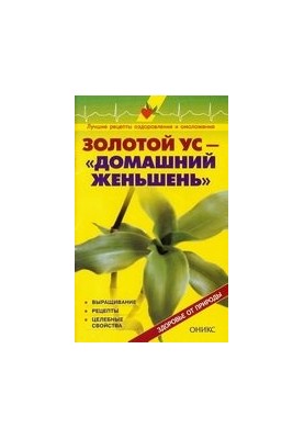 Golden mustache - home ginseng