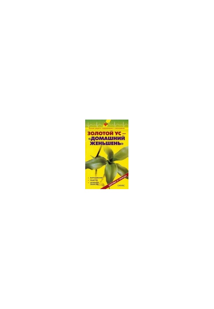Golden mustache - home ginseng